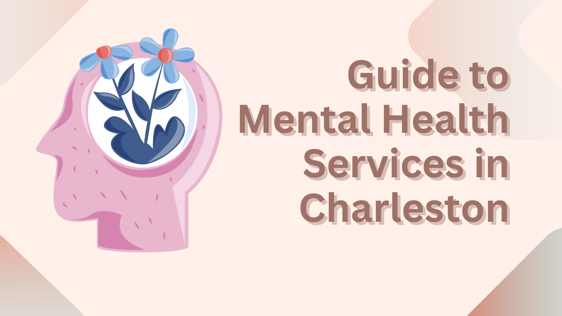 Mental Health Interventions in Charleston